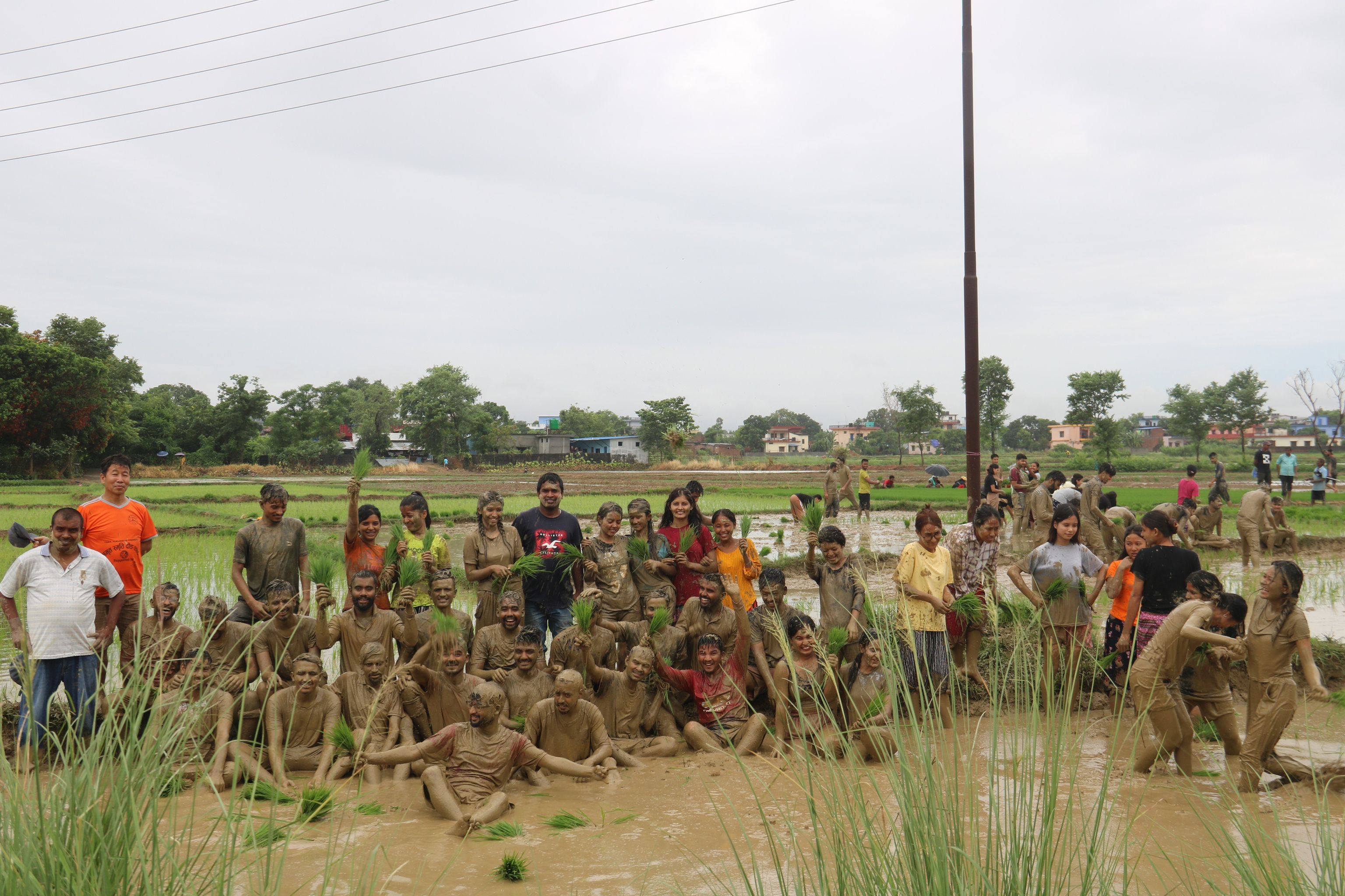 धान दिवस २०७९